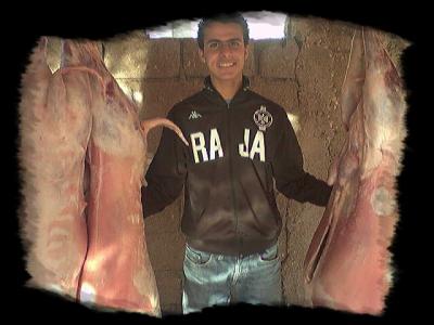 ahmed dit dima raja et mabrok al3id